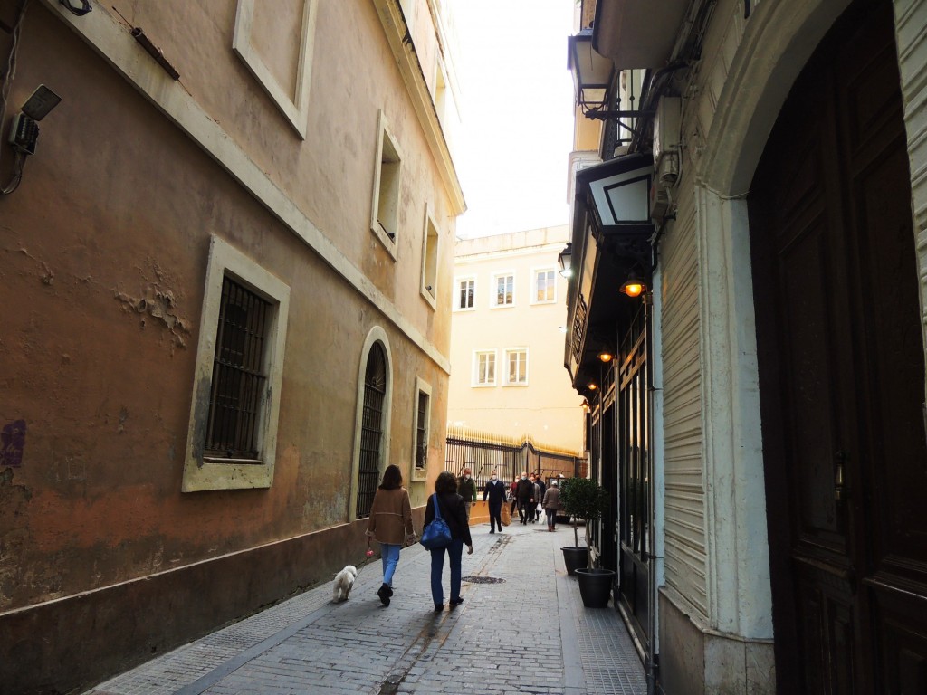 Foto: Callejón del Tinte - Cádiz (Andalucía), España