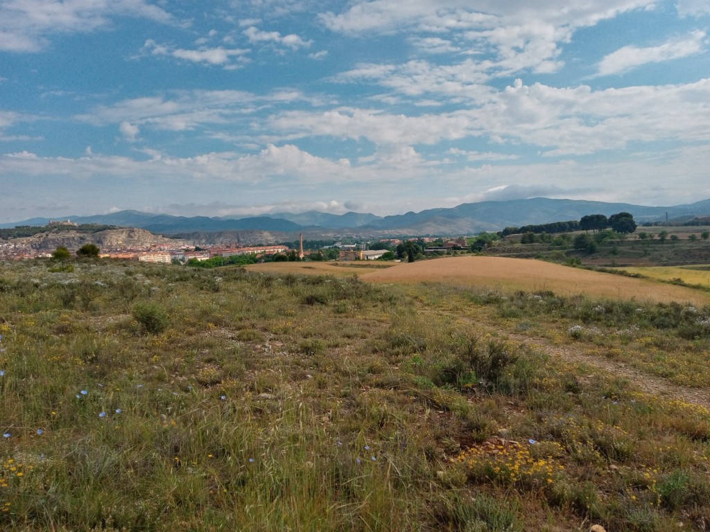 Foto: primavera 2021 - Calatayud (Aragón), España