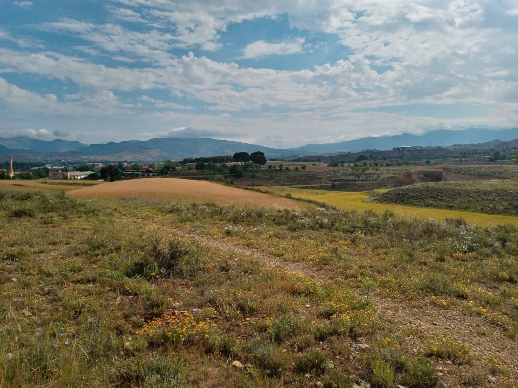 Foto: primavera 2021 - Calatayud (Aragón), España