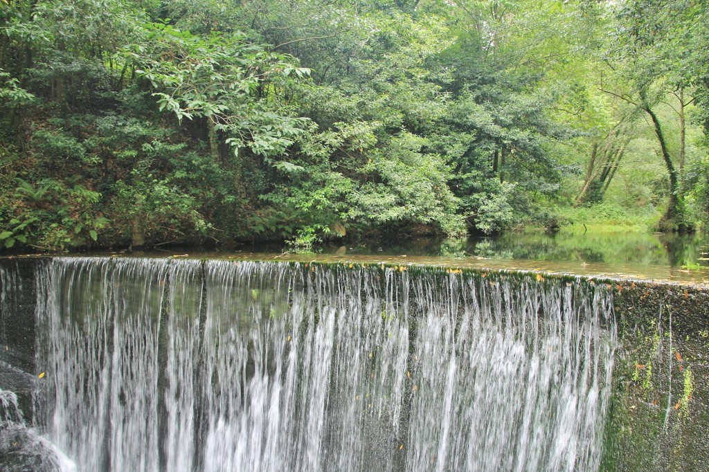 Foto: Molinos de Mazonovo - Taramundi (Asturias), España