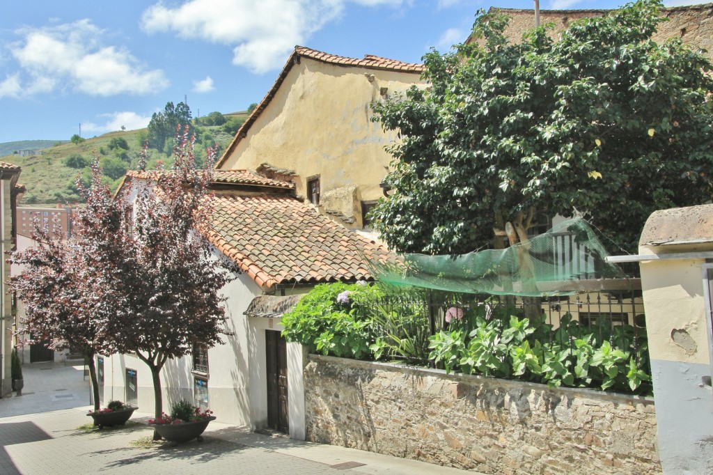 Foto: Centro histórico - Cangas del Narcea (Asturias), España