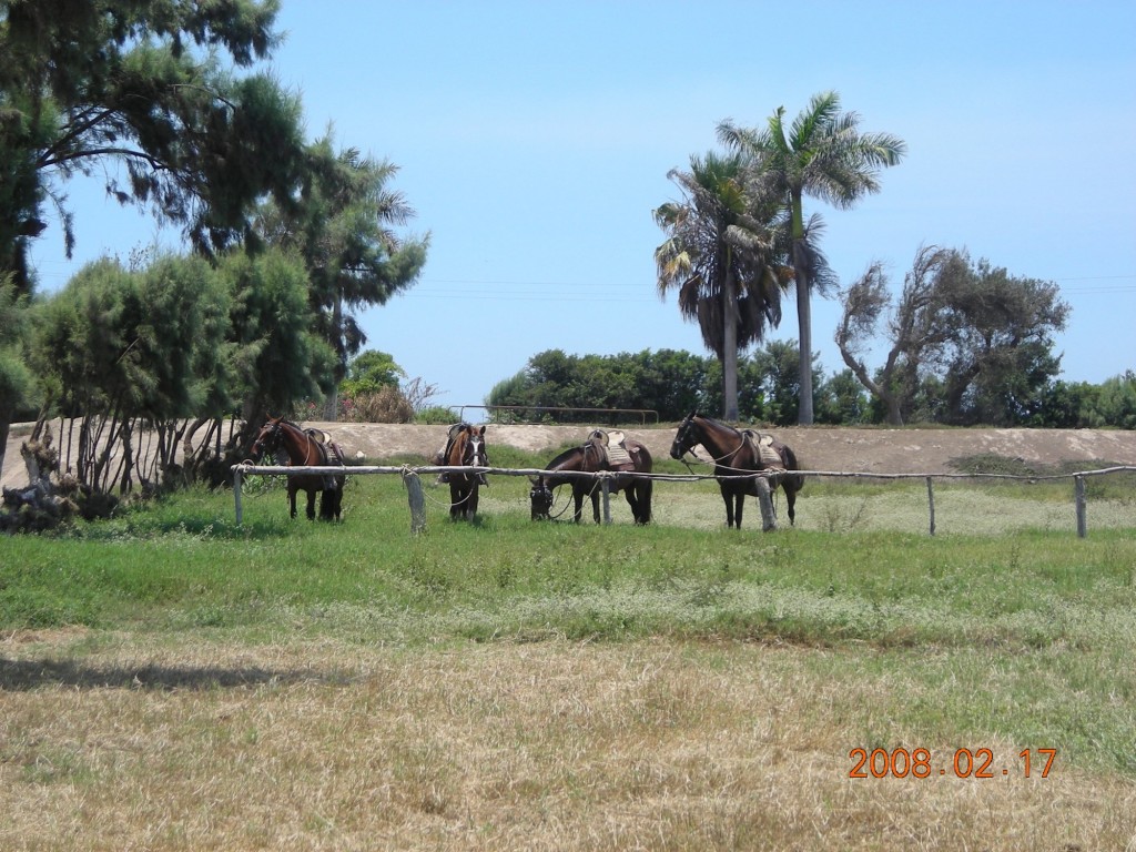 Foto de Chiquitoy (La Libertad), Perú