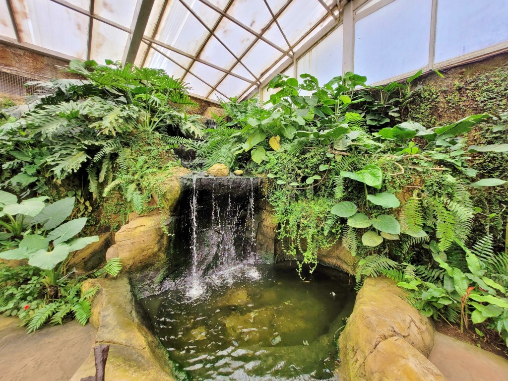 Foto: Mariposario - Benalmádena (Málaga), España