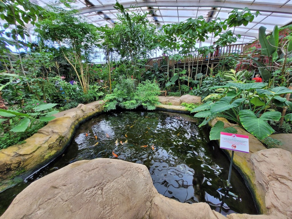 Foto: Mariposario - Benalmádena (Málaga), España