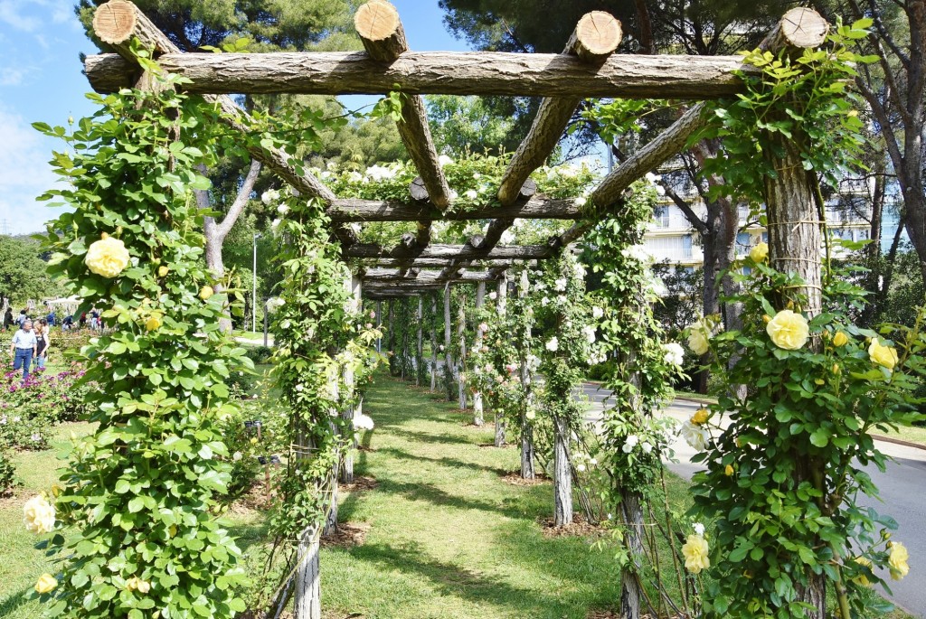 Foto: Concurso de rosas - Barcelona (Cataluña), España