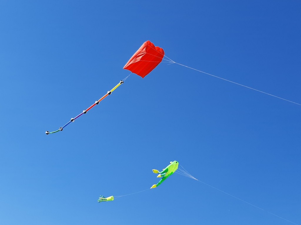 Foto: Competición de globos - Igualada (Barcelona), España