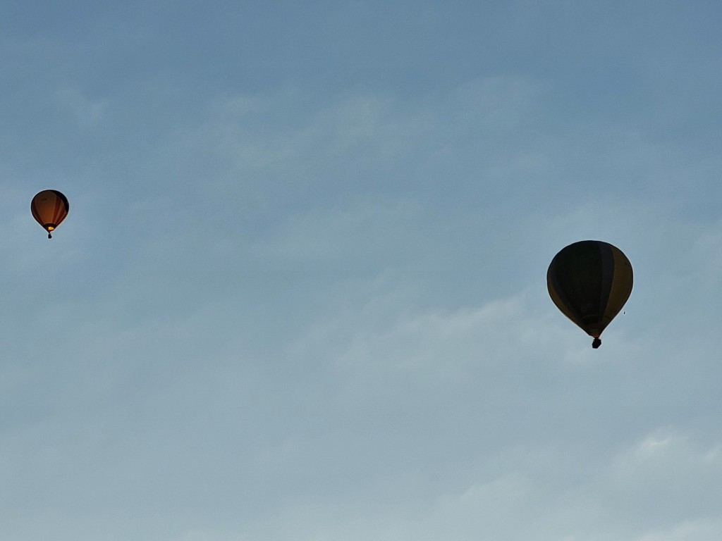 Foto: Competición de globos - Igualada (Barcelona), España