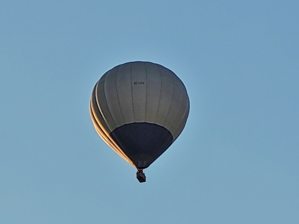 Foto: Competición de globos - Igualada (Barcelona), España