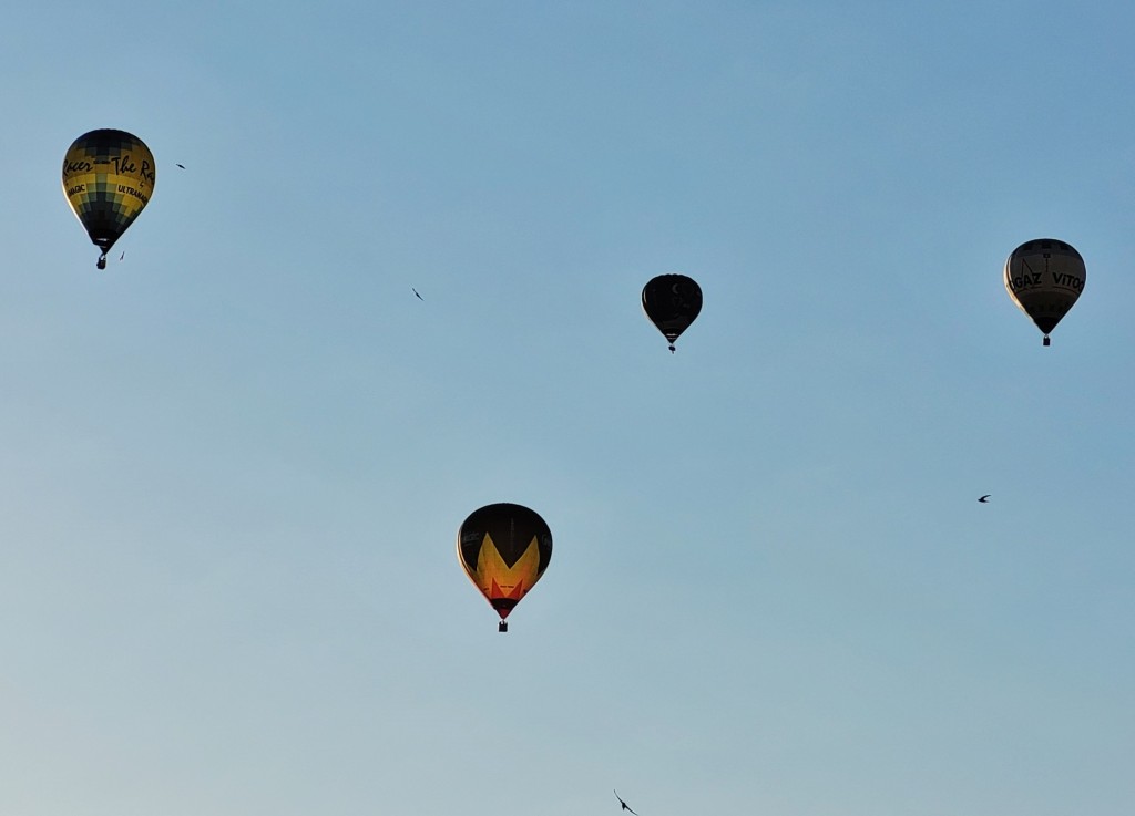 Foto: Competición de globos - Igualada (Barcelona), España