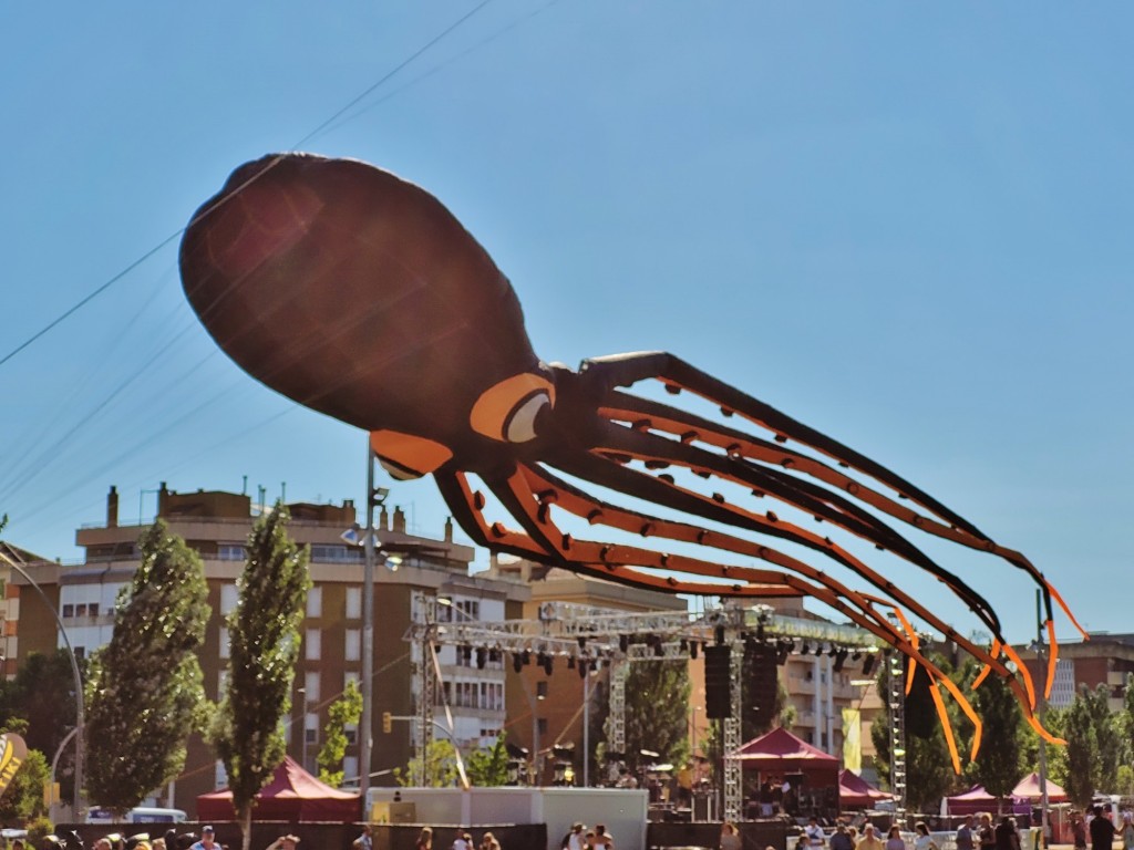 Foto: Competición de globos - Igualada (Barcelona), España