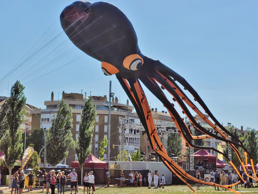 Foto: Competición de globos - Igualada (Barcelona), España