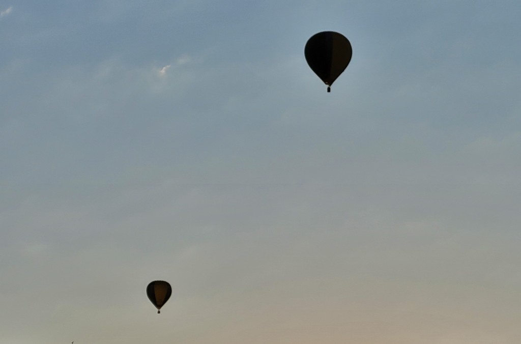 Foto: Competición de globos - Igualada (Barcelona), España