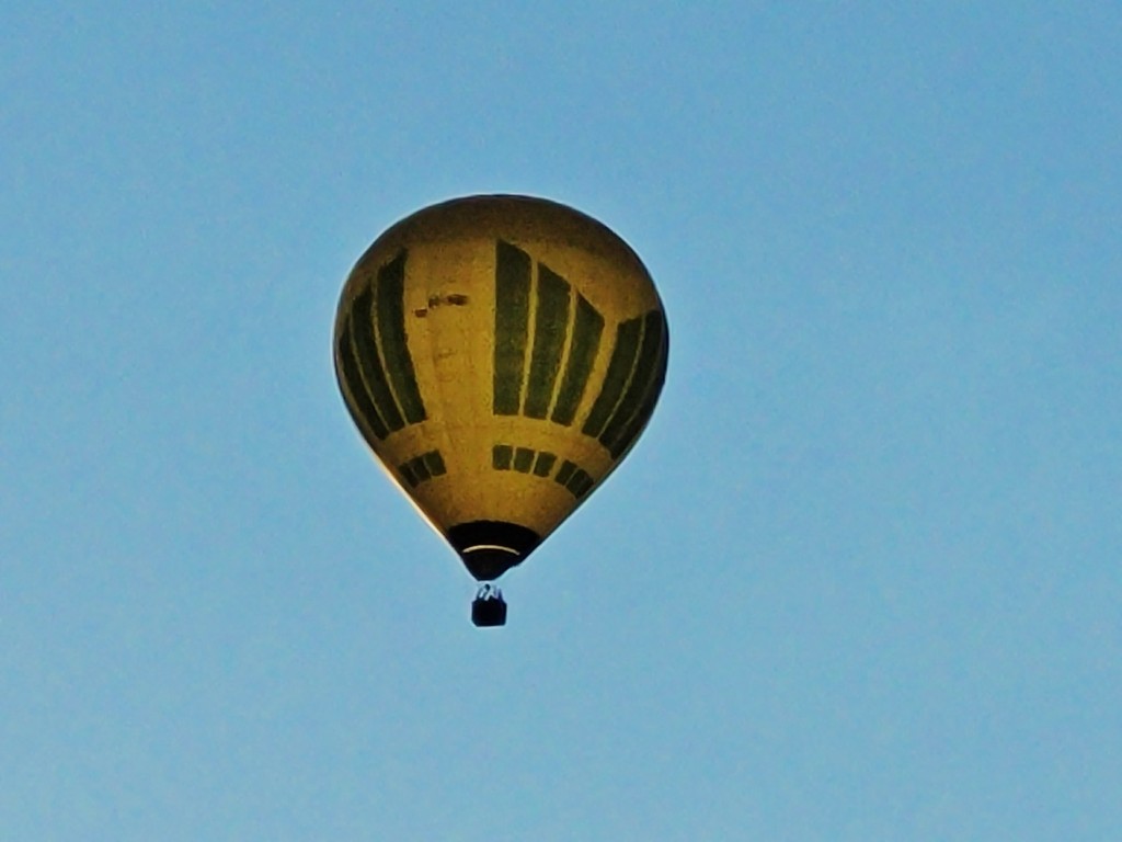 Foto: Competición de globos - Igualada (Barcelona), España