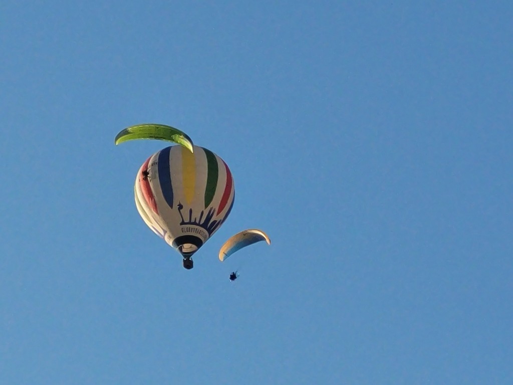 Foto: Competición de globos - Igualada (Barcelona), España