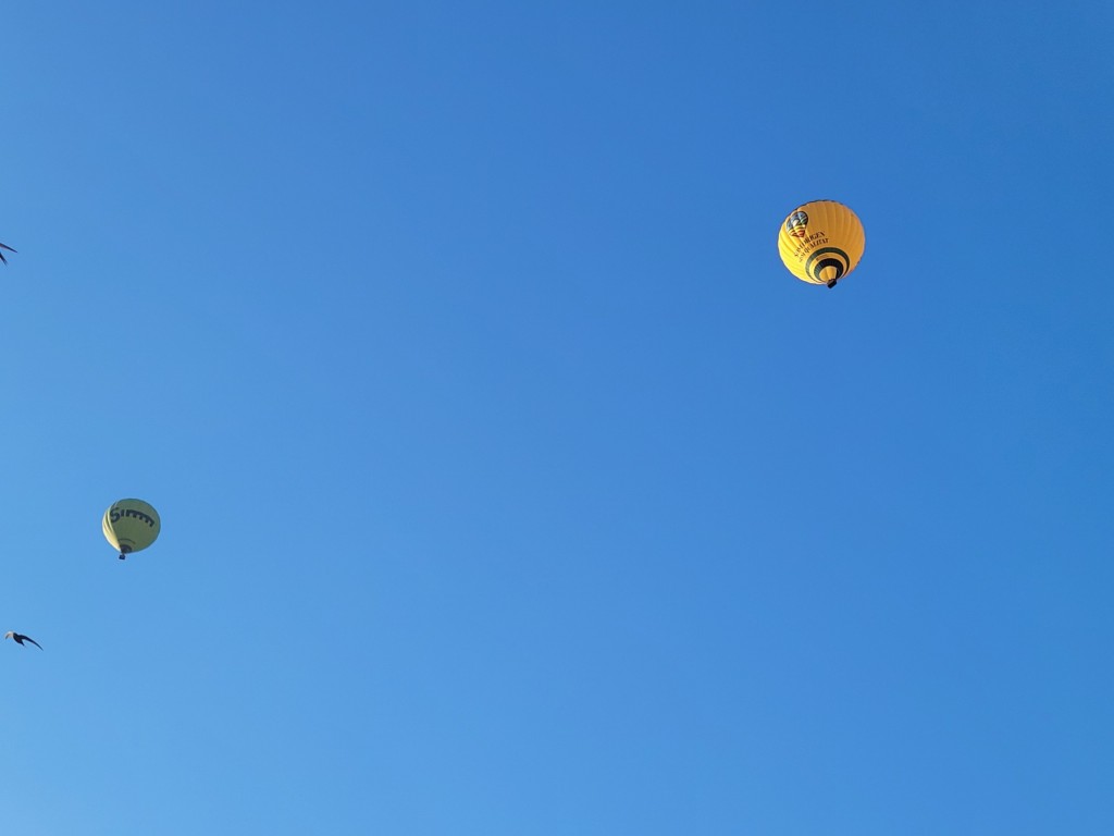 Foto: Competición de globos - Igualada (Barcelona), España