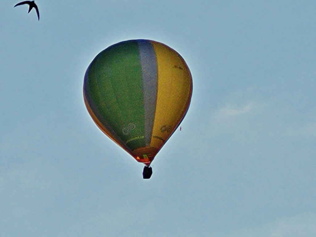 Foto: Competición de globos - Igualada (Barcelona), España