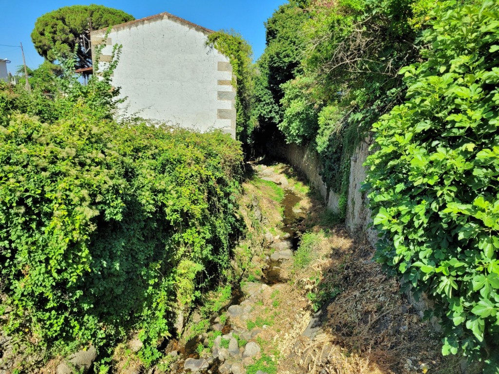 Foto: Centro histórico - San Martín de Trevejo (Cáceres), España