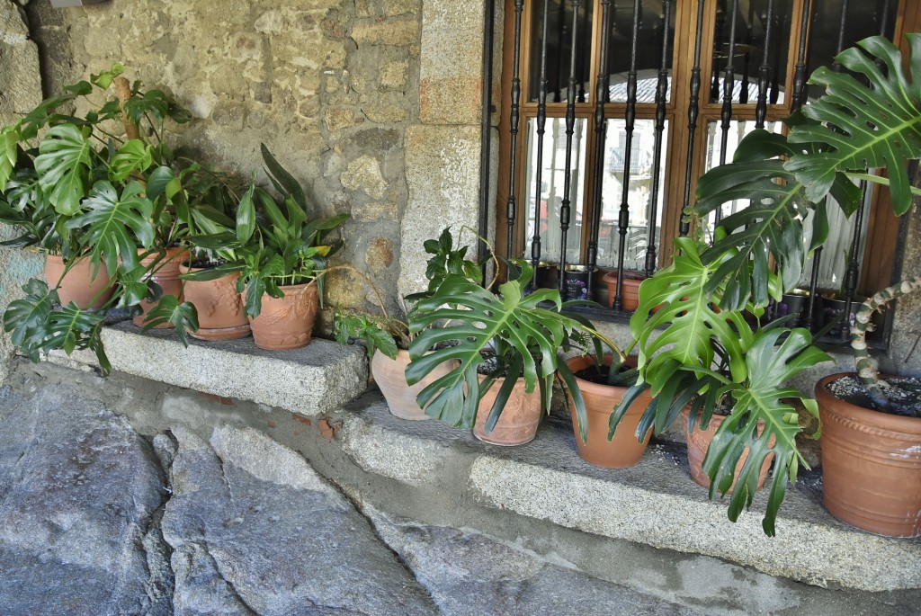 Foto: Centro histórico - San Martín de Trevejo (Cáceres), España