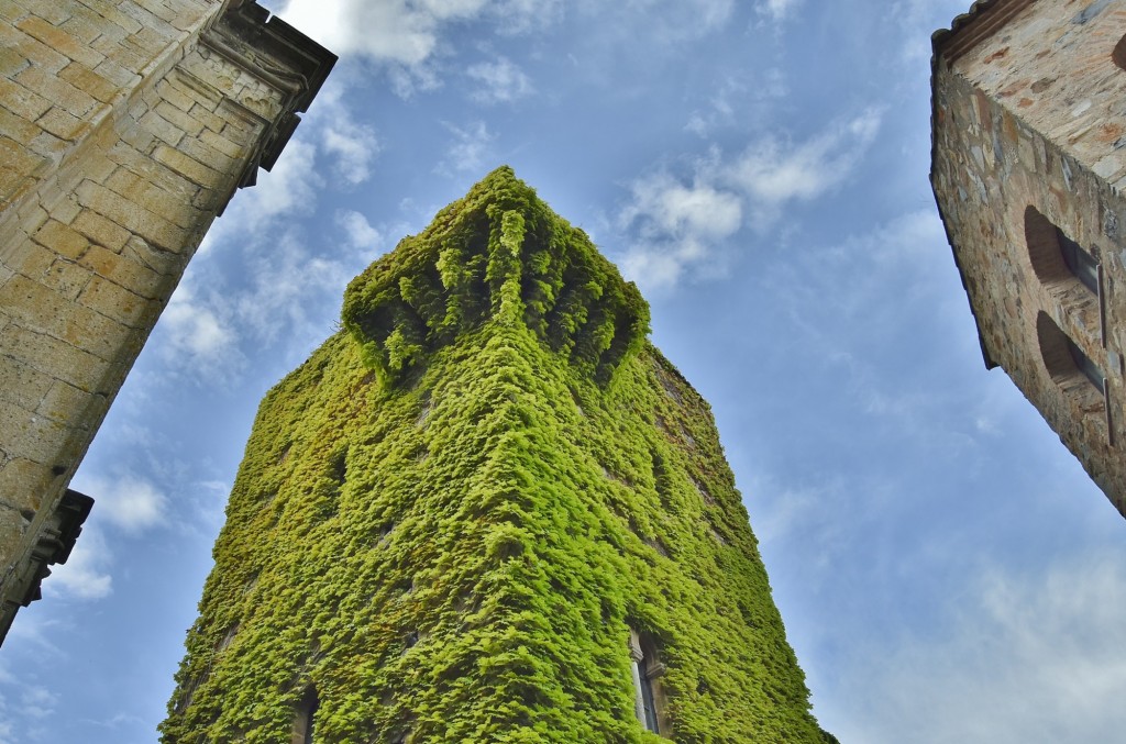 Foto: Centro histórico - Cáceres (Extremadura), España