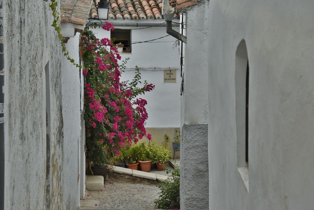 Foto: Centro histórico - Cáceres (Extremadura), España