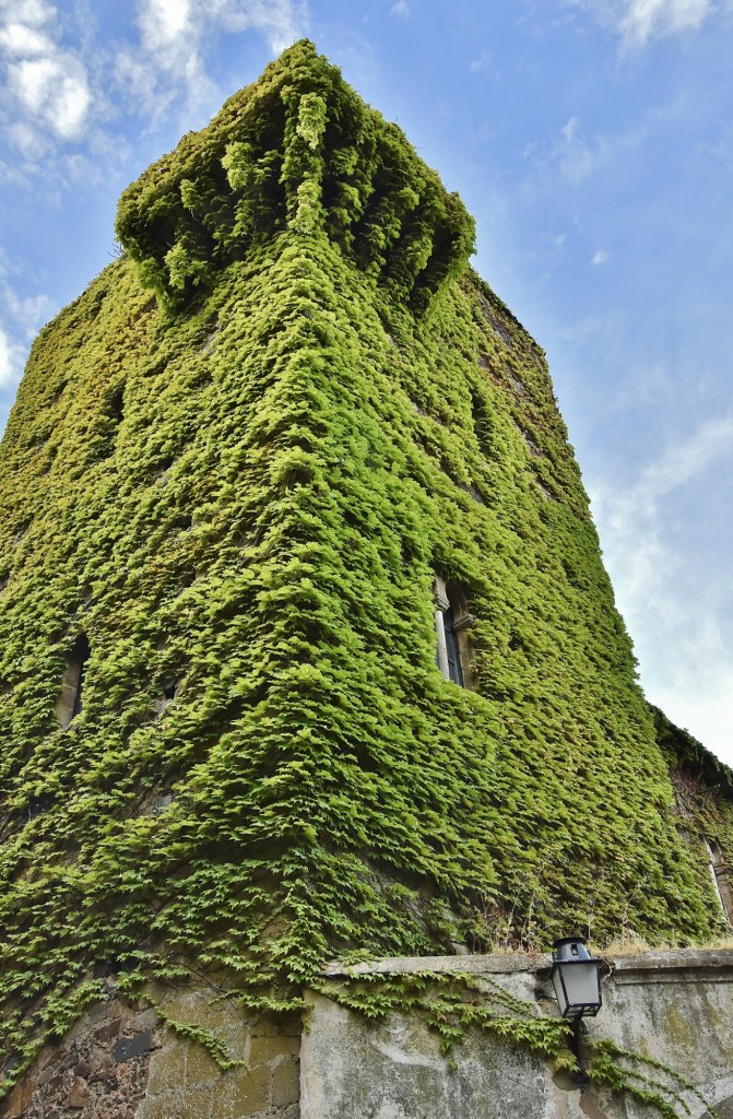 Foto: Centro histórico - Cáceres (Extremadura), España