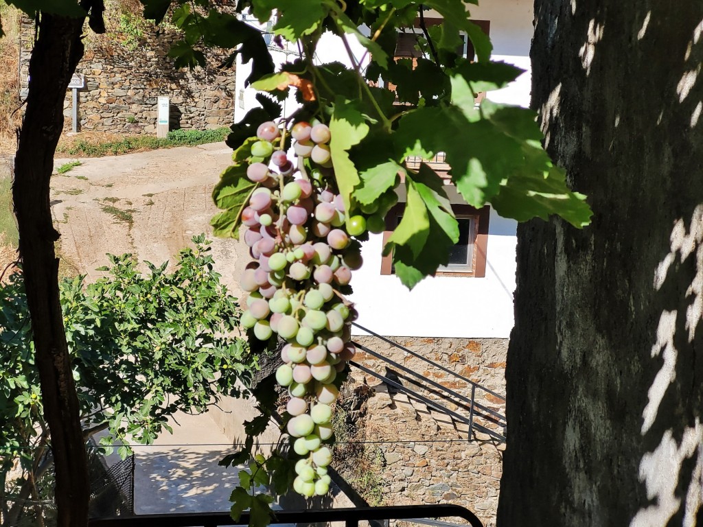 Foto: Vista de la aldea - El Gasco (Cáceres), España