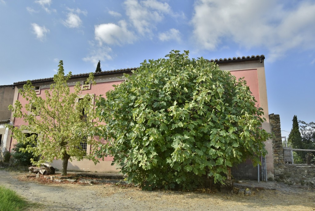 Foto: Vista del pueblo - Granadilla (Cáceres), España