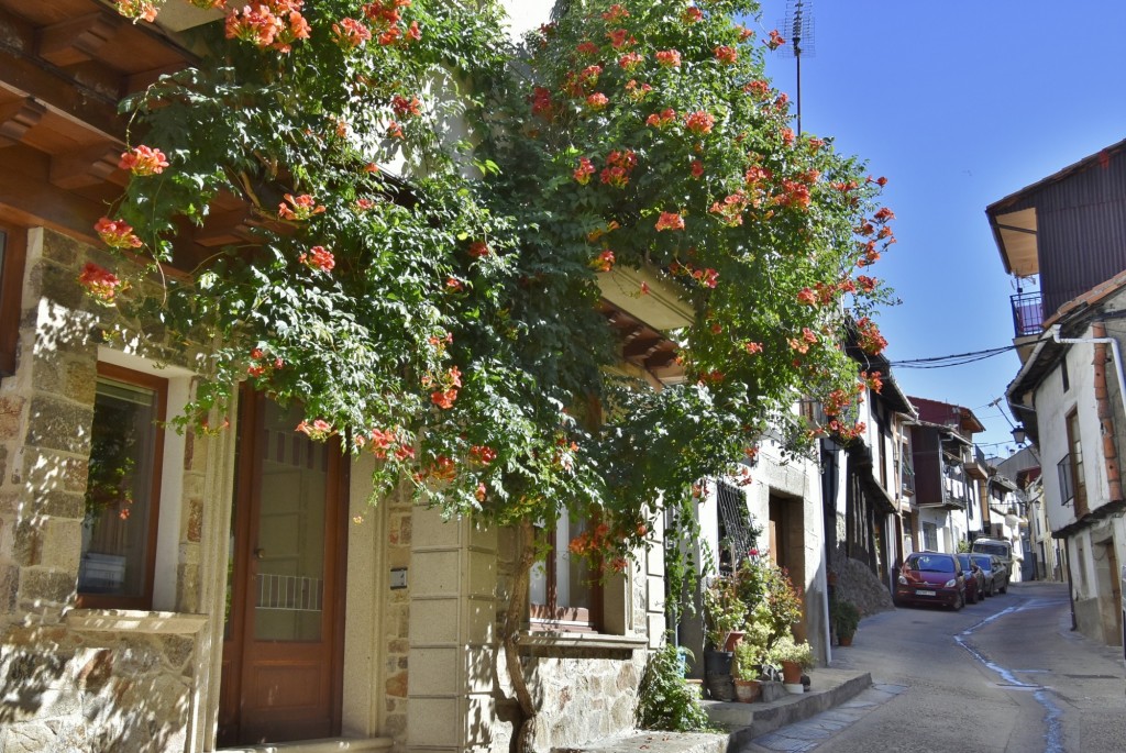 Foto: Centro histórico - Tornavacas (Cáceres), España