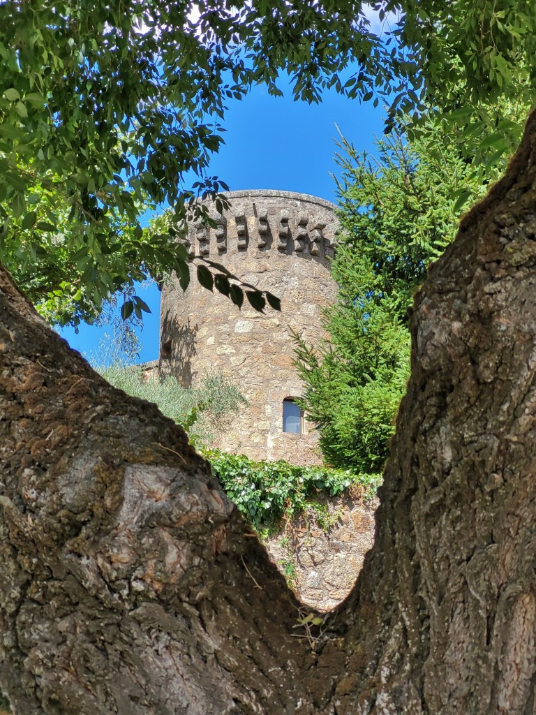 Foto: Castillo de los Condes de Oropesa - Jarandilla de la Vera (Cáceres), España