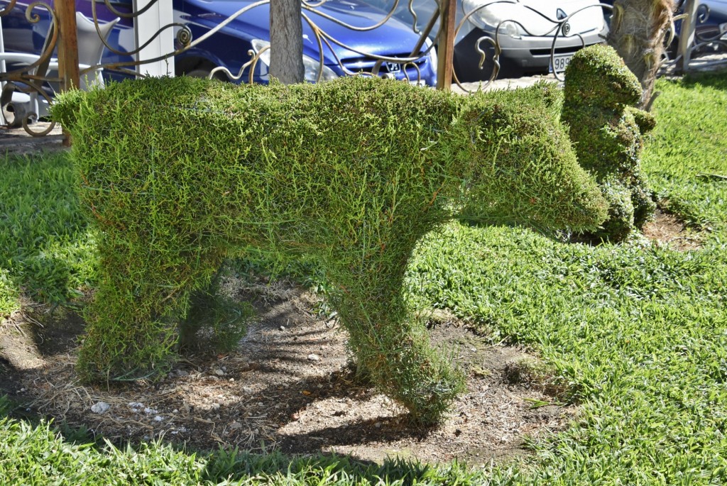 Foto: Arte vegetal - Losar de la Vera (Cáceres), España