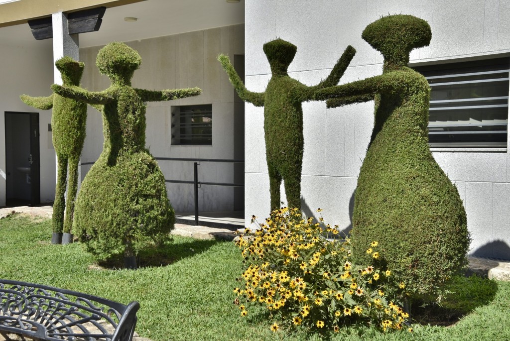 Foto: Arte vegetal - Losar de la Vera (Cáceres), España