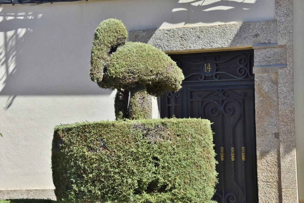 Foto: Arte vegetal - Losar de la Vera (Cáceres), España