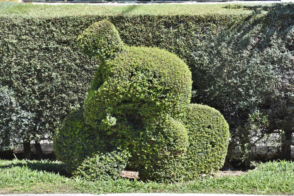 Foto: Arte vegetal - Losar de la Vera (Cáceres), España