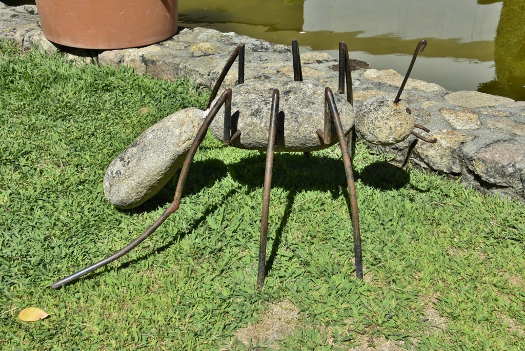 Foto: Arte vegetal - Losar de la Vera (Cáceres), España