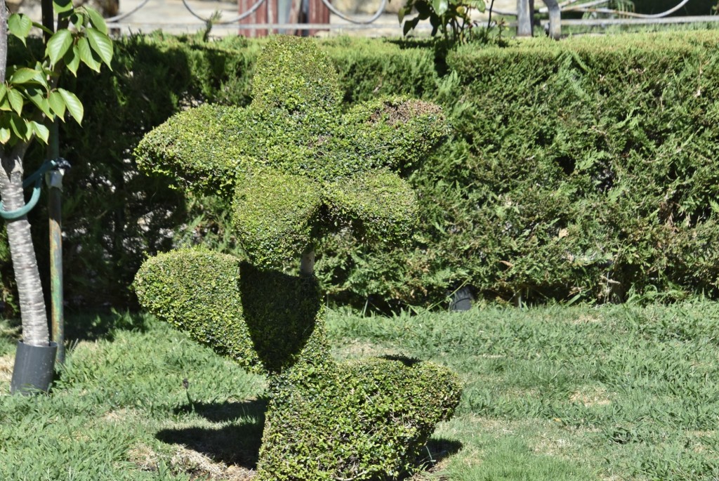 Foto: Arte vegetal - Losar de la Vera (Cáceres), España