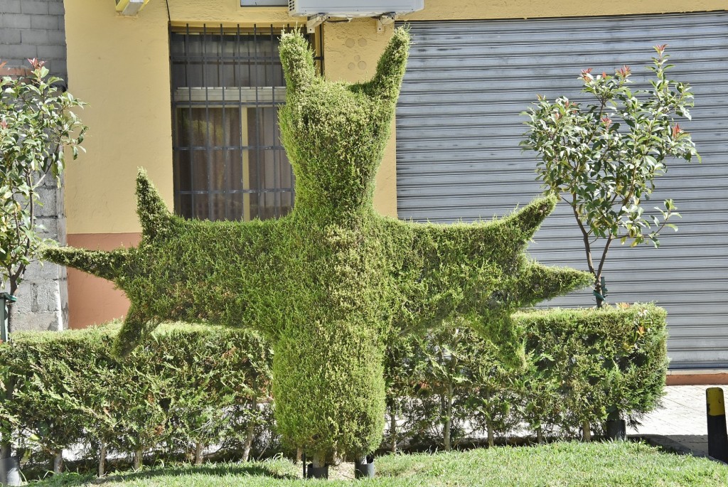 Foto: Arte vegetal - Losar de la Vera (Cáceres), España