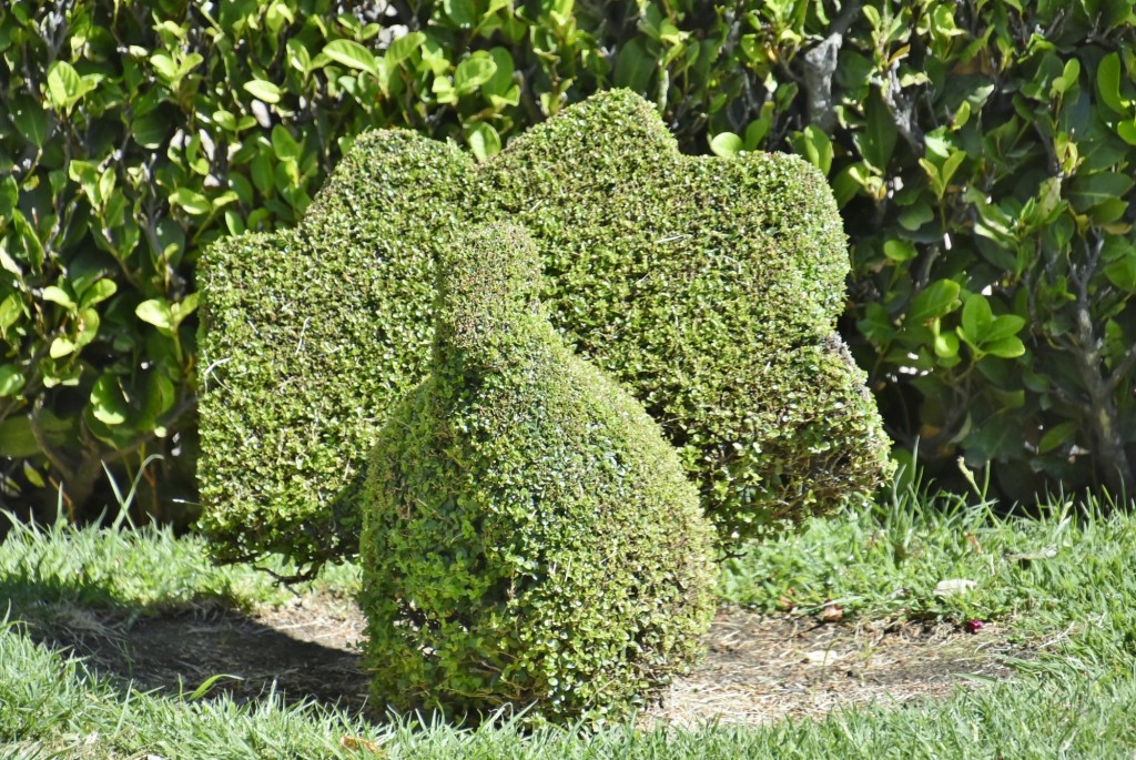 Foto: Arte vegetal - Losar de la Vera (Cáceres), España