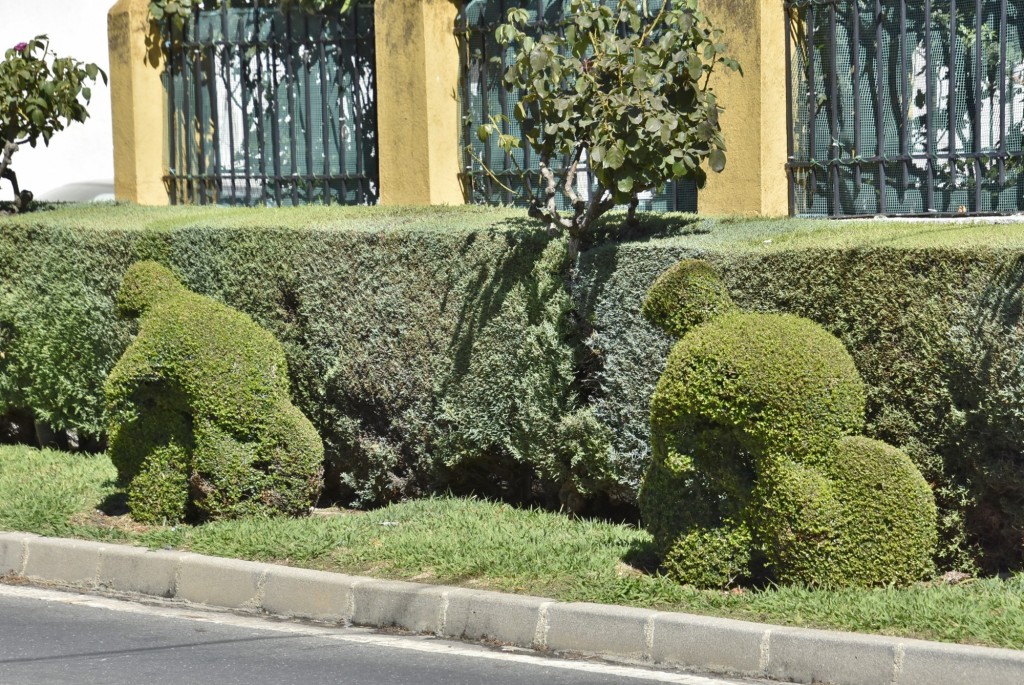 Foto: Arte vegetal - Losar de la Vera (Cáceres), España