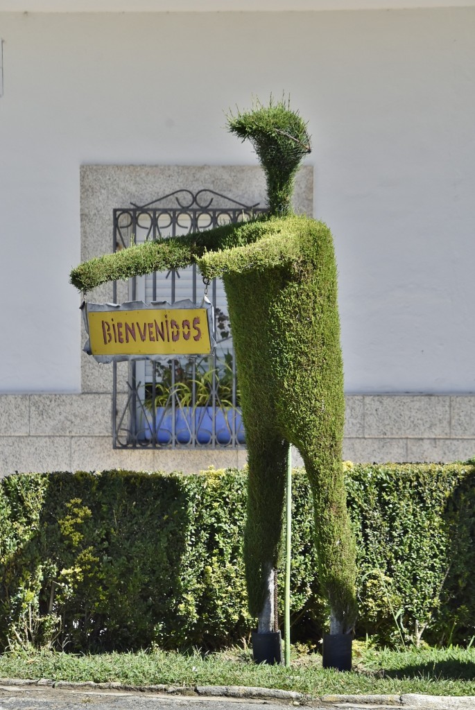 Foto: Arte vegetal - Losar de la Vera (Cáceres), España