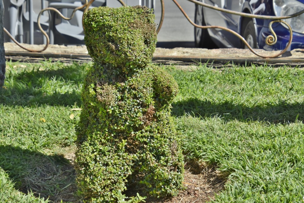 Foto: Arte vegetal - Losar de la Vera (Cáceres), España