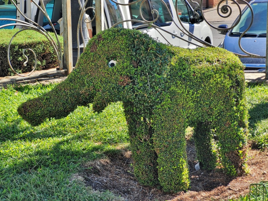 Foto: Arte vegetal - Losar de la Vera (Cáceres), España