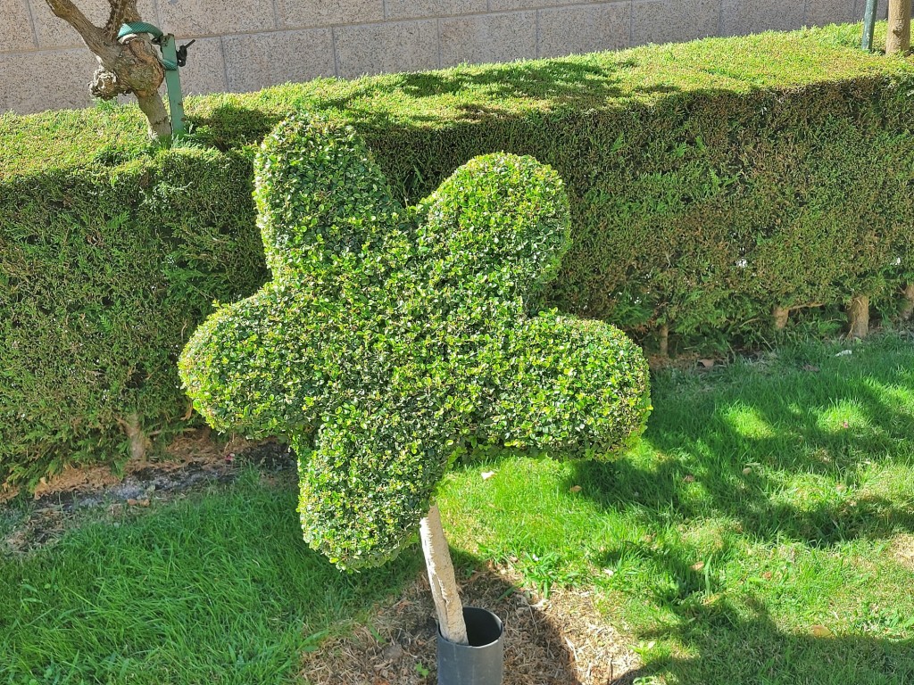 Foto: Arte vegetal - Losar de la Vera (Cáceres), España