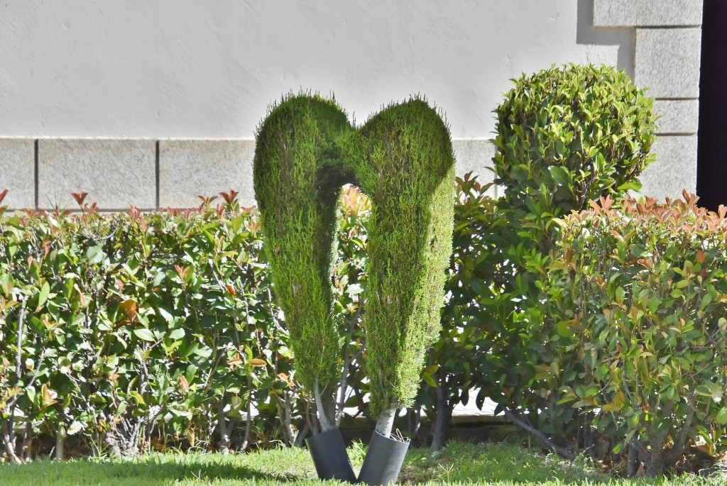 Foto: Arte vegetal - Losar de la Vera (Cáceres), España