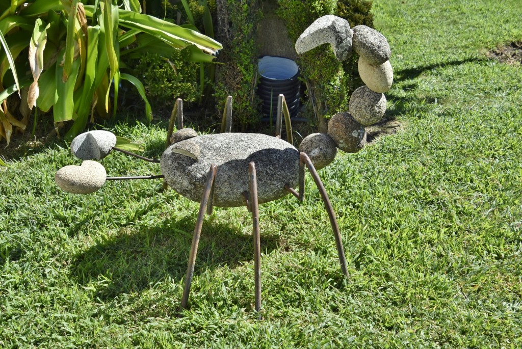 Foto: Arte vegetal - Losar de la Vera (Cáceres), España