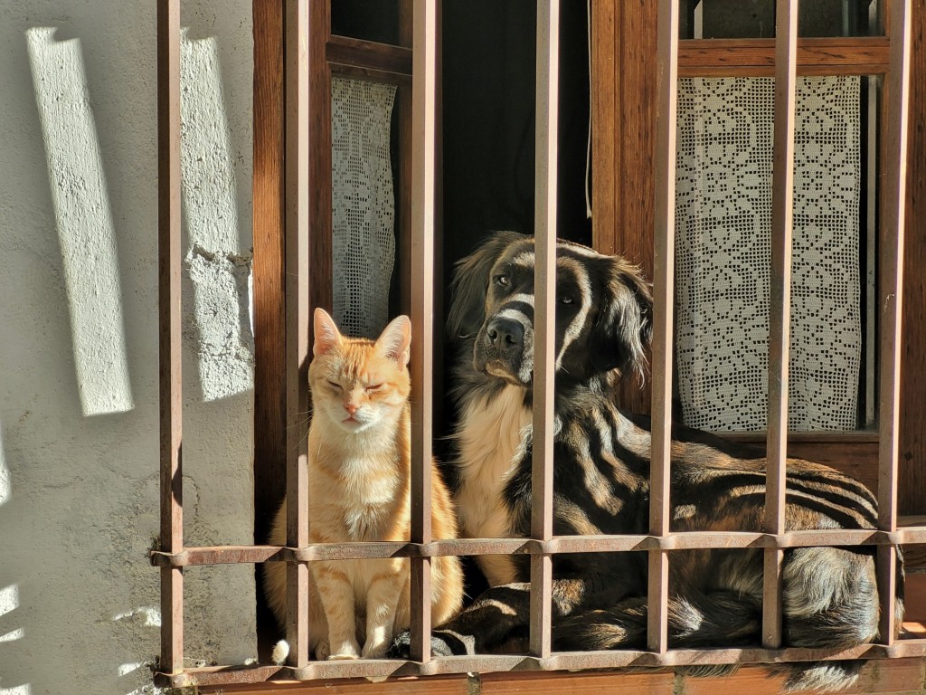 Foto: Amigos - Villanueva de la Vera (Cáceres), España