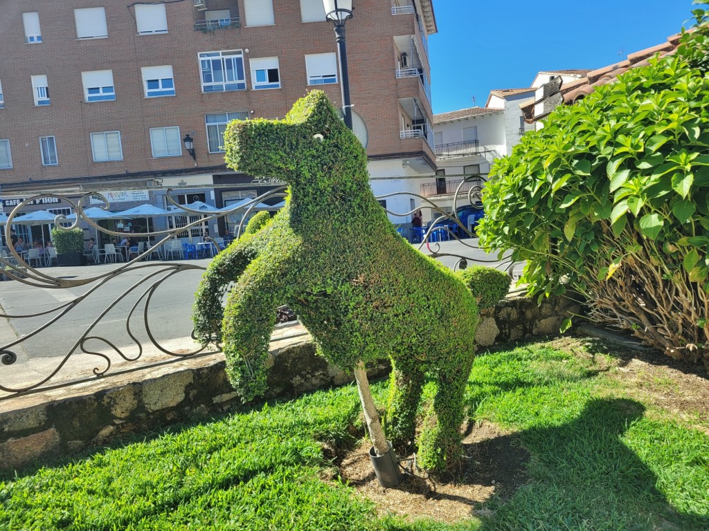 Foto: Arte vegetal - Losar de la Vera (Cáceres), España