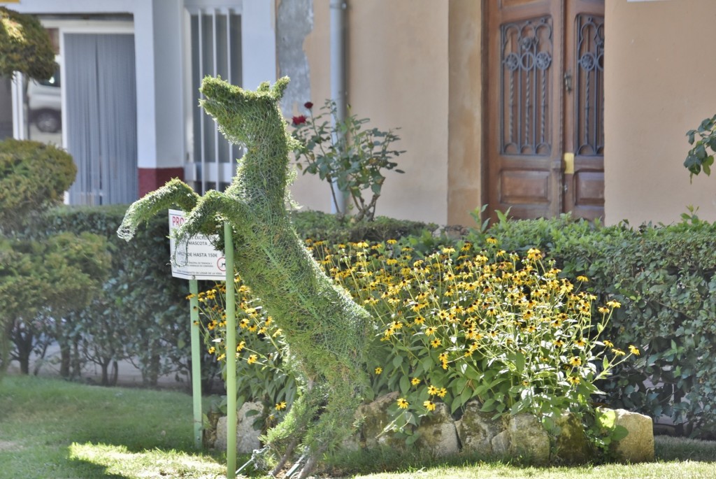 Foto: Arte vegetal - Losar de la Vera (Cáceres), España