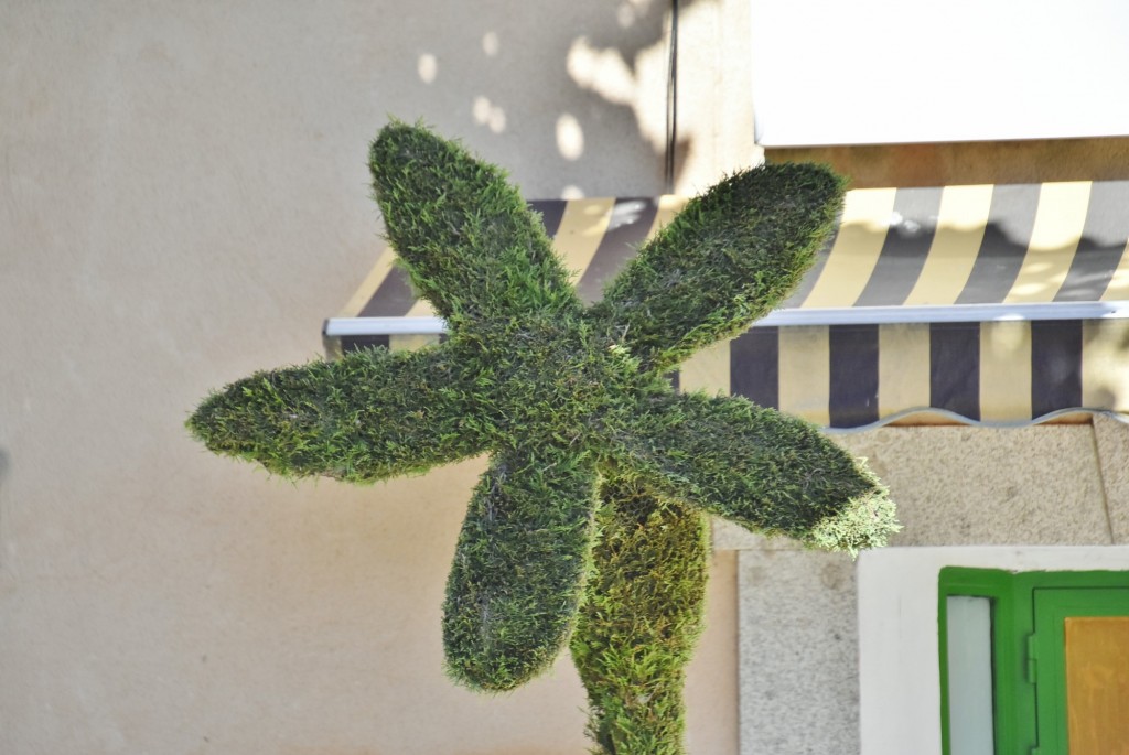 Foto: Arte vegetal - Losar de la Vera (Cáceres), España