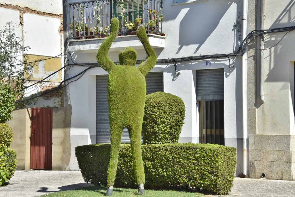 Foto: Arte vegetal - Losar de la Vera (Cáceres), España