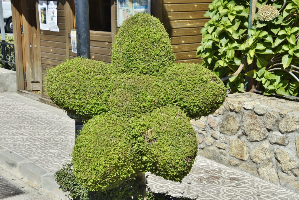 Foto: Arte vegetal - Losar de la Vera (Cáceres), España